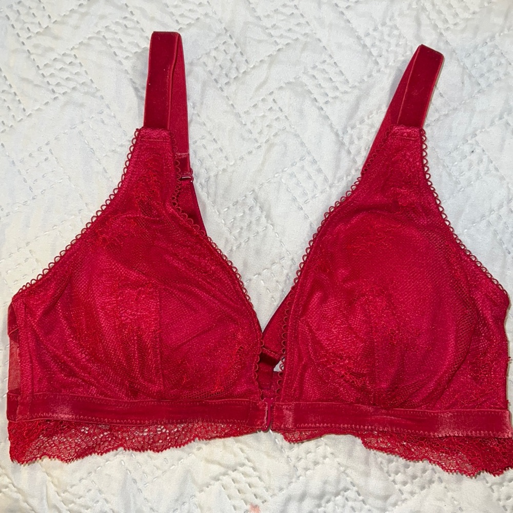 VS bra velvet details